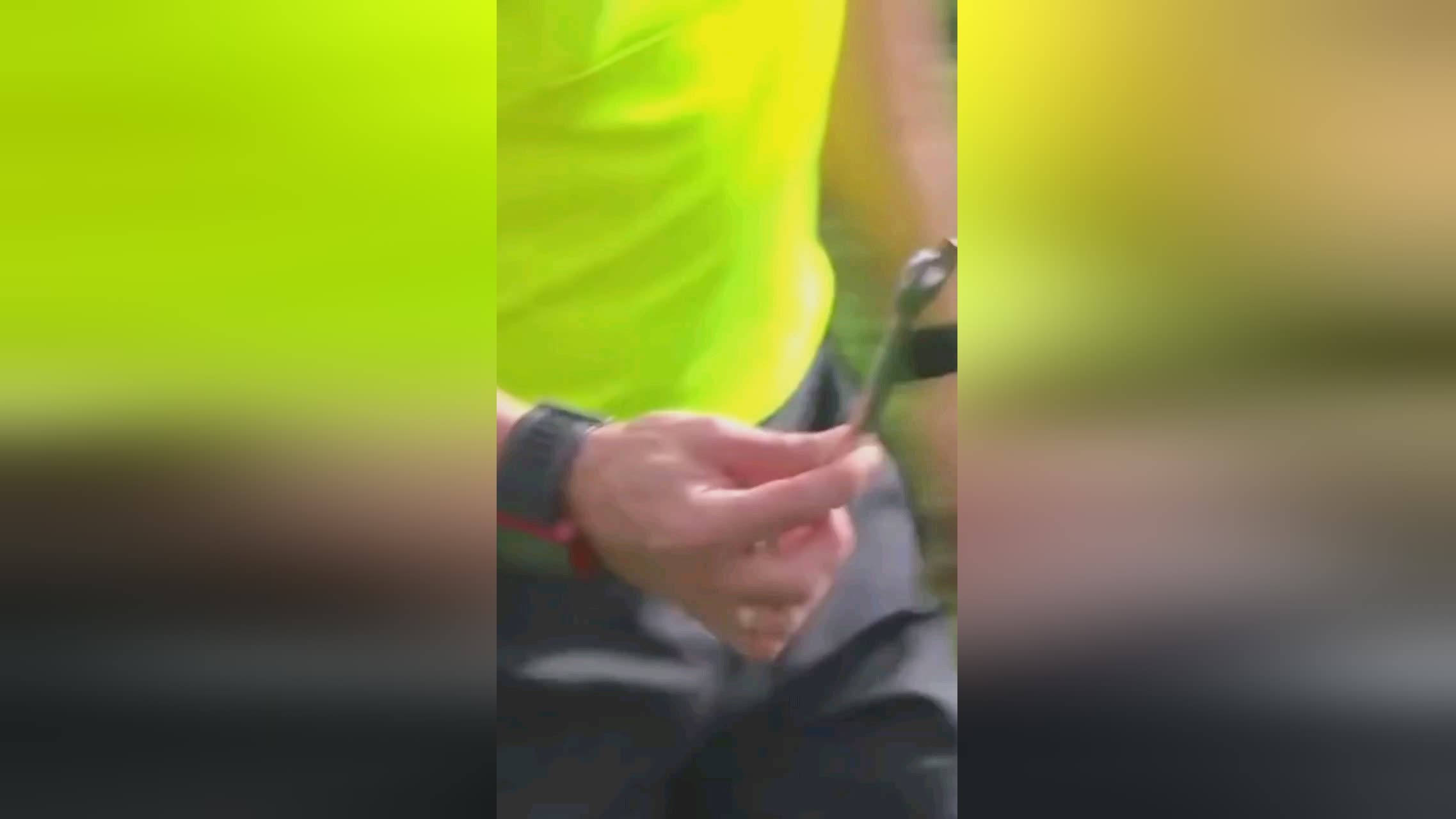 拼也